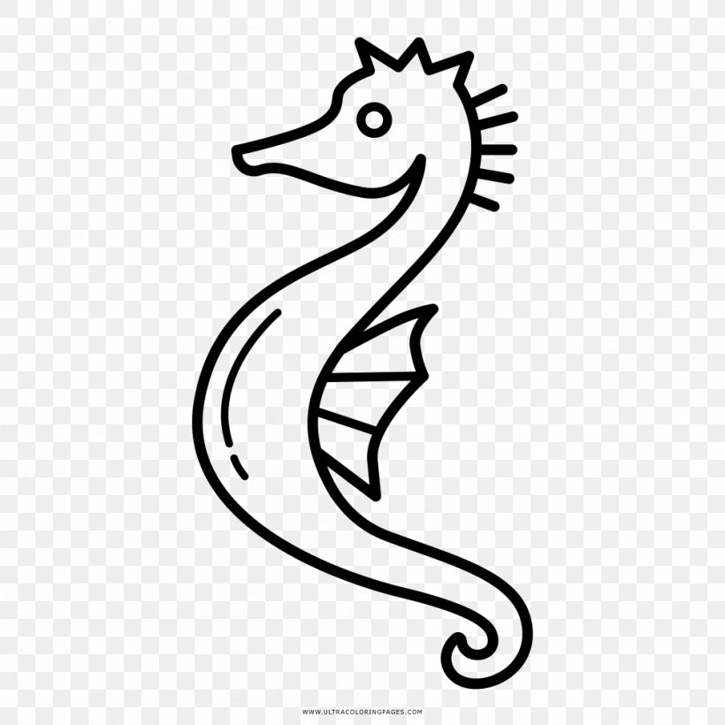Seahorse Drawing Coloring Book, PNG, 1000x1000px, Seahorse, Animal, Black And White, Coloring Book, Drawing Download Free