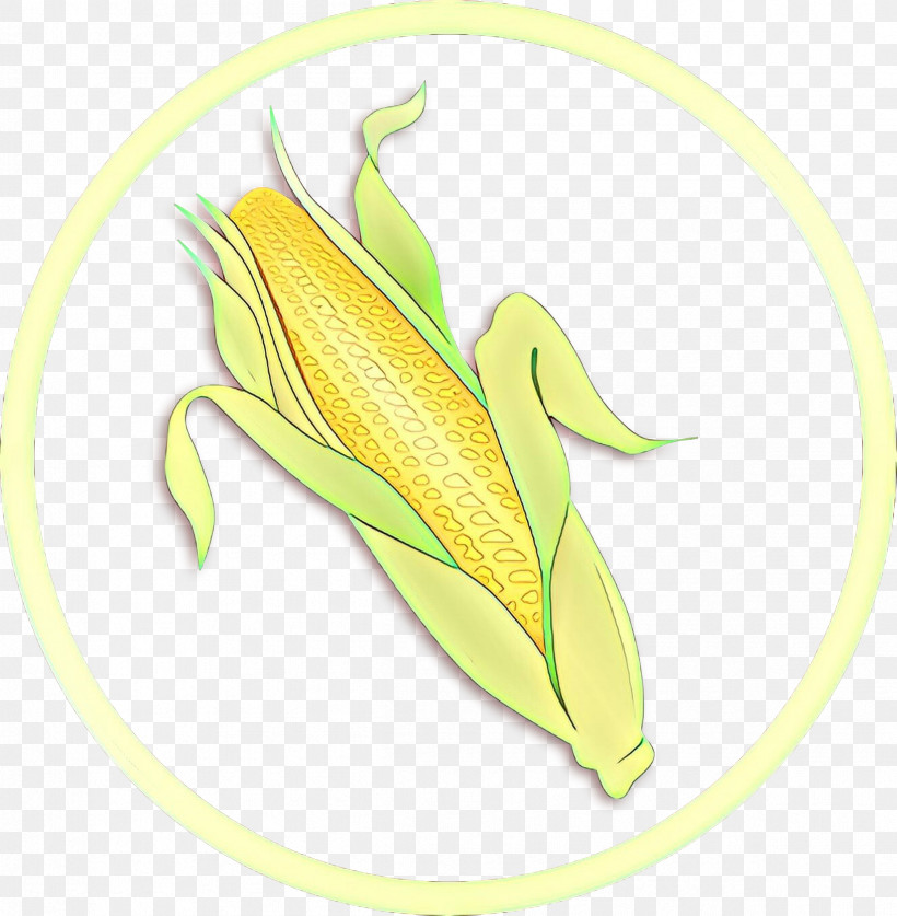 Corn On The Cob Yellow Plant Leaf Vegetarian Food, PNG, 2399x2451px, Corn On The Cob, Flower, Leaf, Nepenthes, Plant Download Free
