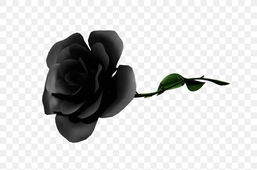 Garden Roses Flower Garden, PNG, 1280x850px, Garden Roses, Black, Black Rose, Cut Flowers, Flower Download Free