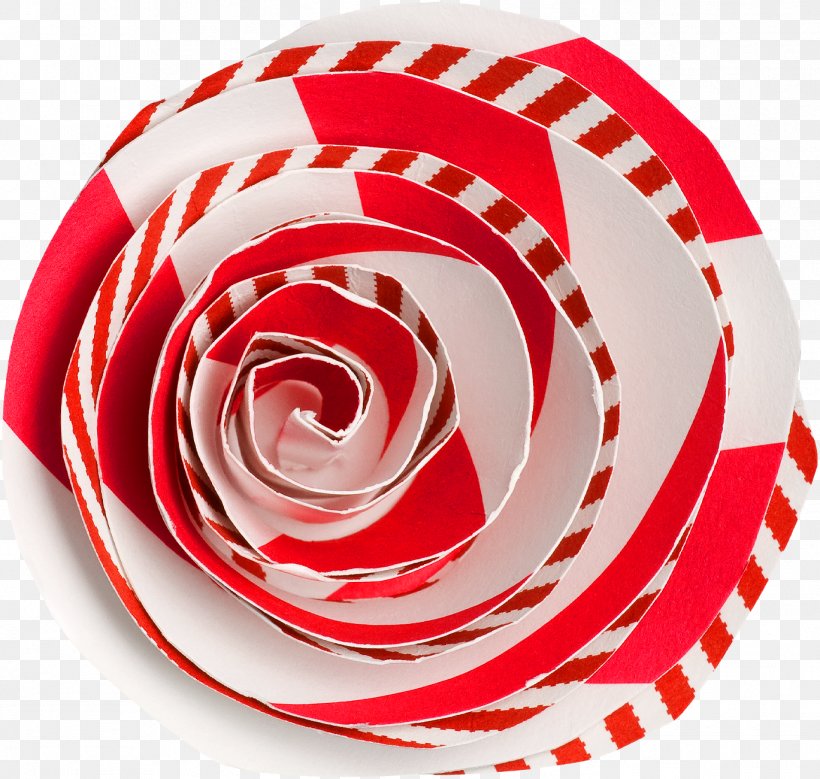 Garden Roses Rosaceae Circle, PNG, 1369x1301px, Garden Roses, Family, Garden, Red, Rosaceae Download Free