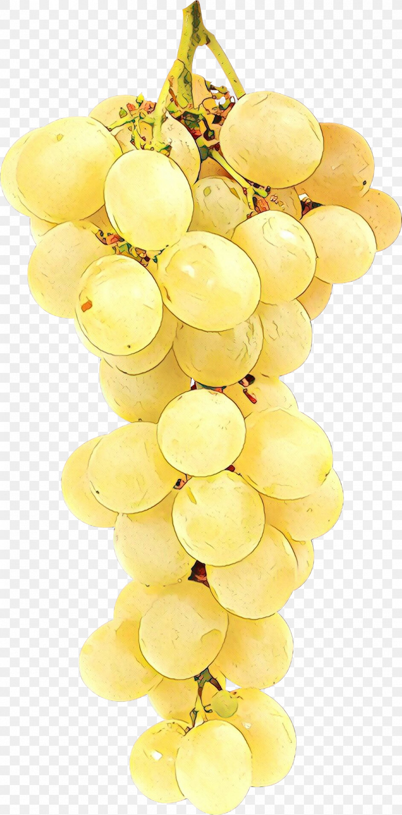 Grape Seedless Fruit Grapevine Family Yellow Sultana, PNG, 1351x2737px, Grape, Fruit, Grapevine Family, Plant, Seedless Fruit Download Free