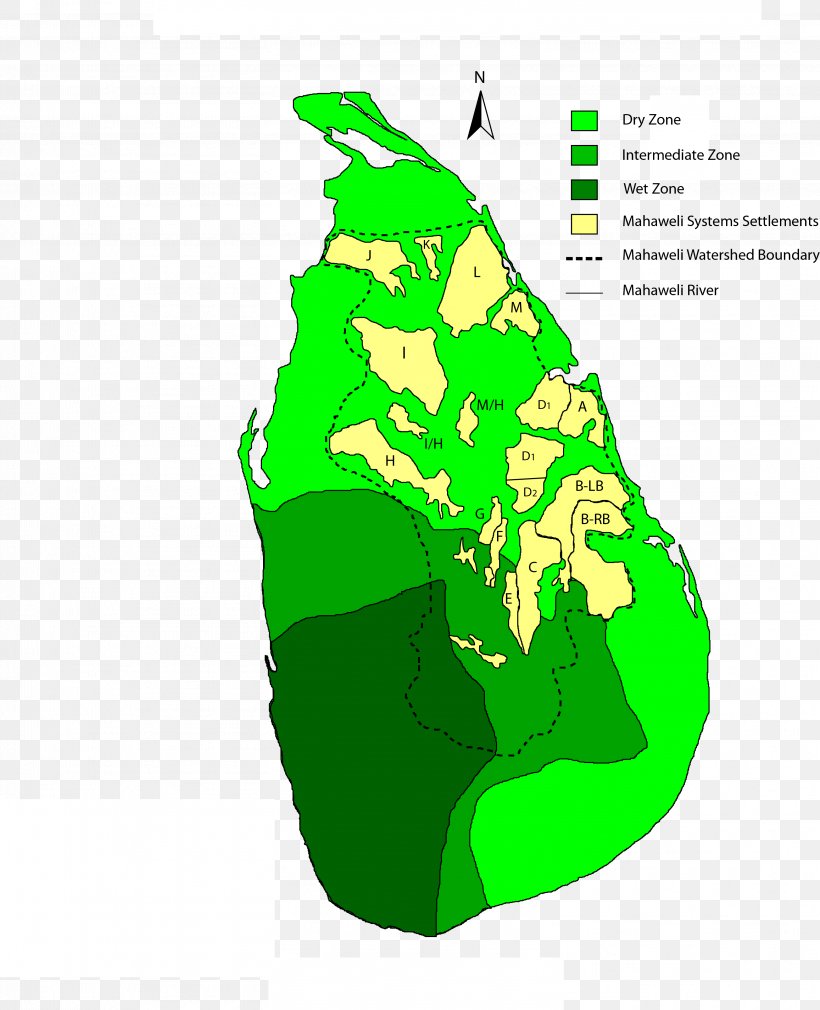 Mahaweli River Vanderbilt University Weli Oya Agriculture Paddy Field, PNG, 3133x3860px, Mahaweli River, Agriculture, Area, Grass, Green Download Free