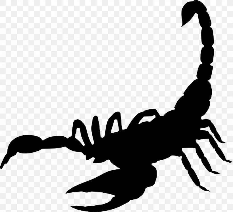 Scorpion Sting, PNG, 1280x1167px, Scorpion, Arachnid, Arthropod, Artwork, Black And White Download Free
