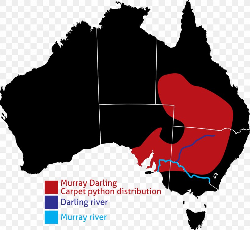 Australia Zoo Vector Map Australian Gold Rushes, PNG, 1114x1024px, Australia Zoo, Aluskaart, Australia, Australian Gold Rushes, Black Download Free
