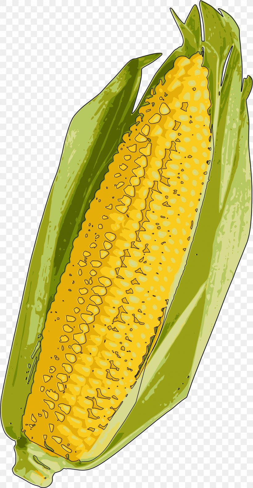 Corn On The Cob Popcorn Candy Corn Corn Flakes Maize, PNG, 1246x2400px, Corn On The Cob, Butter, Candy Corn, Commodity, Corn Flakes Download Free
