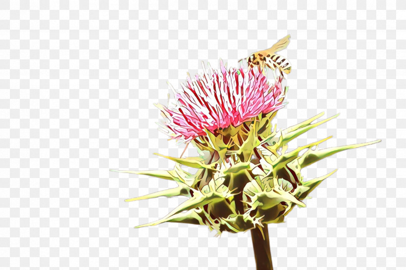 Flower Thistle Plant Burdock Pink, PNG, 2448x1632px, Flower, Artichoke Thistle, Burdock, Greater Burdock, Lesser Burdock Download Free