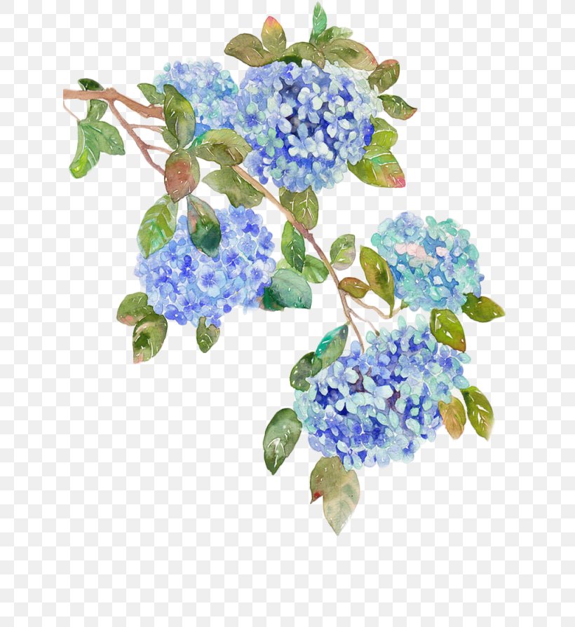 French Hydrangea Flower Blue Clip Art, PNG, 640x895px, French Hydrangea, Blue, Cornales, Cut Flowers, Floral Design Download Free