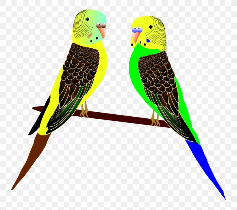 Parrot Budgerigar Parakeet Bird Clip Art, PNG, 1000x890px, Parrot, Beak, Bird, Budgerigar, Common Pet Parakeet Download Free