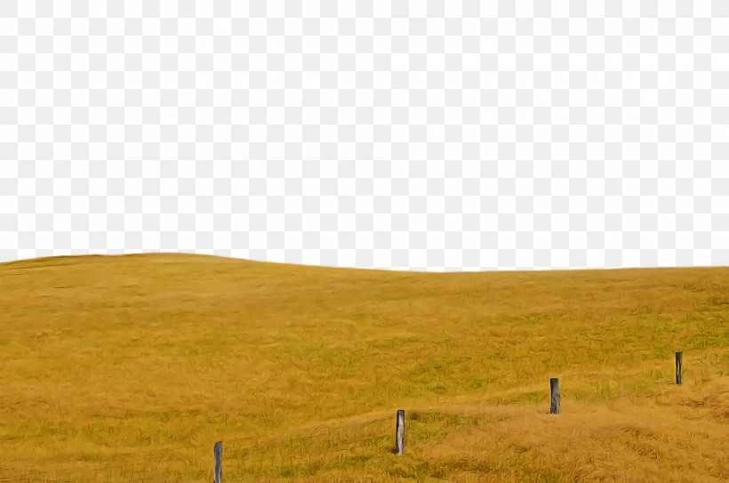 Steppe Grassland Grass Rural Area Ecoregion, PNG, 1920x1272px, Steppe, Ecoregion, Grass, Grassland, Ranch Download Free