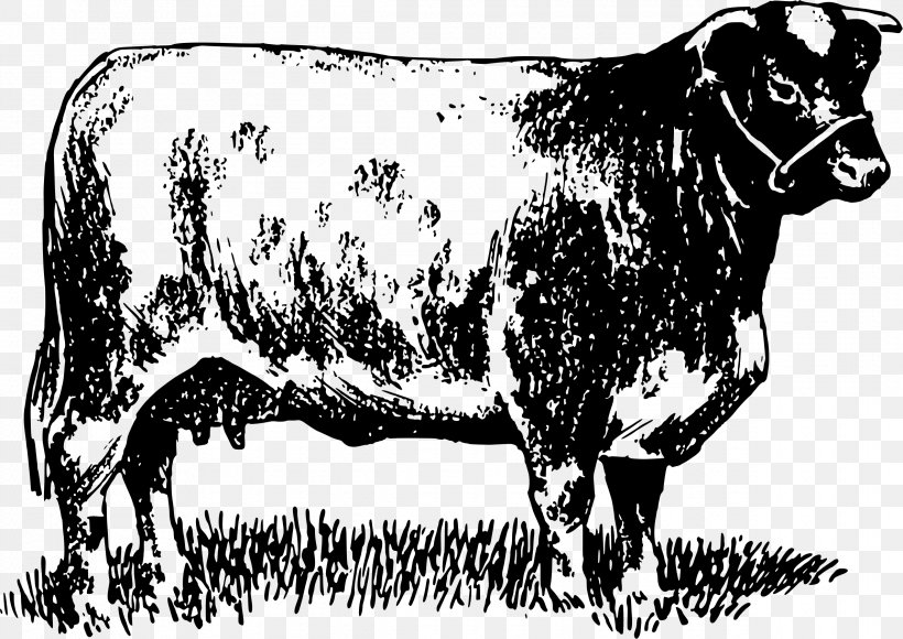 Dairy Cattle Zebu Bull Ox Pen, PNG, 2377x1682px, Dairy Cattle, Black And White, Bull, Cattle, Cattle Like Mammal Download Free