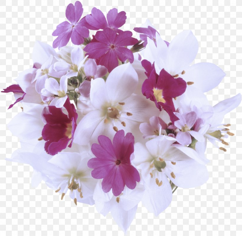 Flowering Plant Flower Petal Cut Flowers Plant, PNG, 1109x1080px, Flowering Plant, Branch, Cut Flowers, Flower, Lilac Download Free