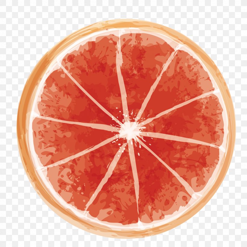 Juice Lemon Grapefruit Orangelo Citrus Depressa, PNG, 1875x1875px, Juice, Blood Orange, Calamondin, Citrus, Citrus Depressa Download Free