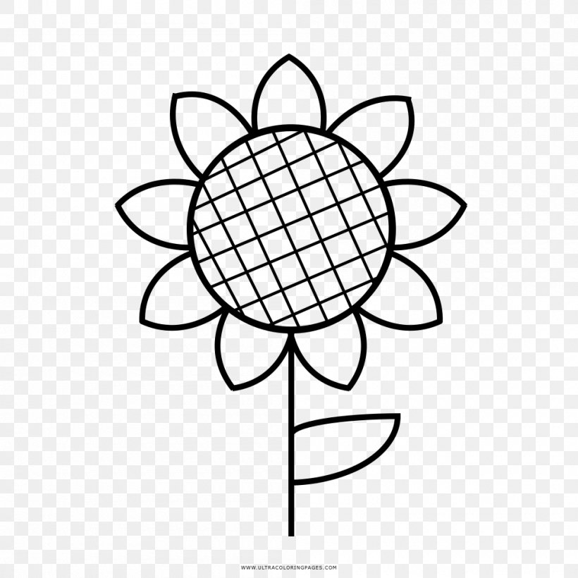 Coloring Book Common Sunflower Drawing Red Sunflower, PNG, 1000x1000px, Coloring Book, Area, Ausmalbild, Black And White, Book Download Free