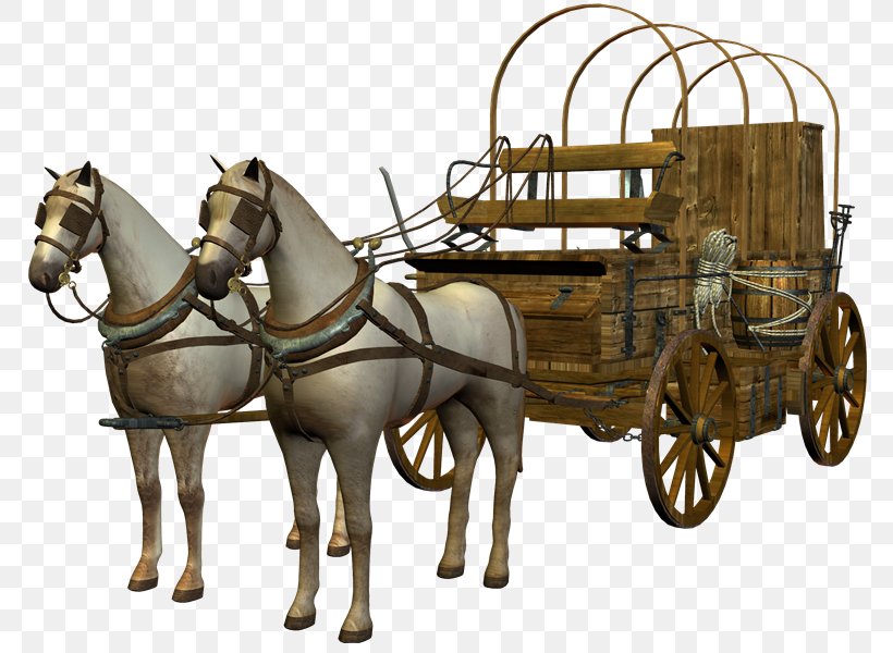 Horse-drawn Vehicle Carriage Chariot, PNG, 800x600px, Horse, Carriage, Cart, Chariot, Coachman Download Free