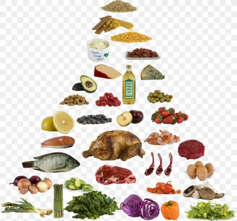 Low-carbohydrate Diet Atkins Diet Ketogenic Diet, PNG, 992x928px, Lowcarbohydrate Diet, Atkins Diet, Blood Sugar, Carbohydrate, Diabetes Mellitus Download Free