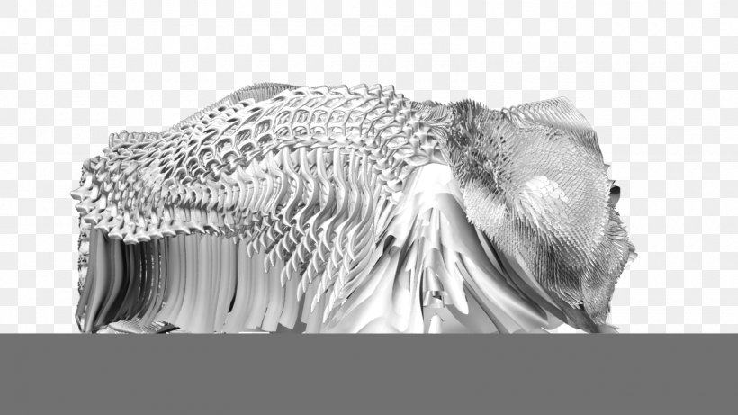 Monochrome Photography Organism Wildlife, PNG, 1600x900px, Monochrome Photography, Animal, Black And White, Head, Jaw Download Free