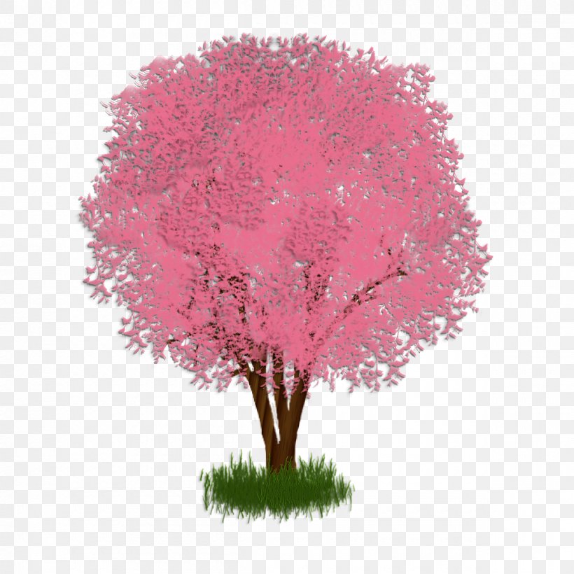 Shade Tree Regina De Luporum Shrub Branch, PNG, 1200x1200px, Tree, Book, Branch, Drama, Flower Download Free