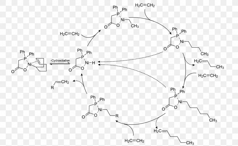 Shell Higher Olefin Process Alkene Alpha-olefin Linear Alpha Olefin Olefin Metathesis, PNG, 1400x860px, Alkene, Alphaolefin, Area, Black And White, Catalysis Download Free