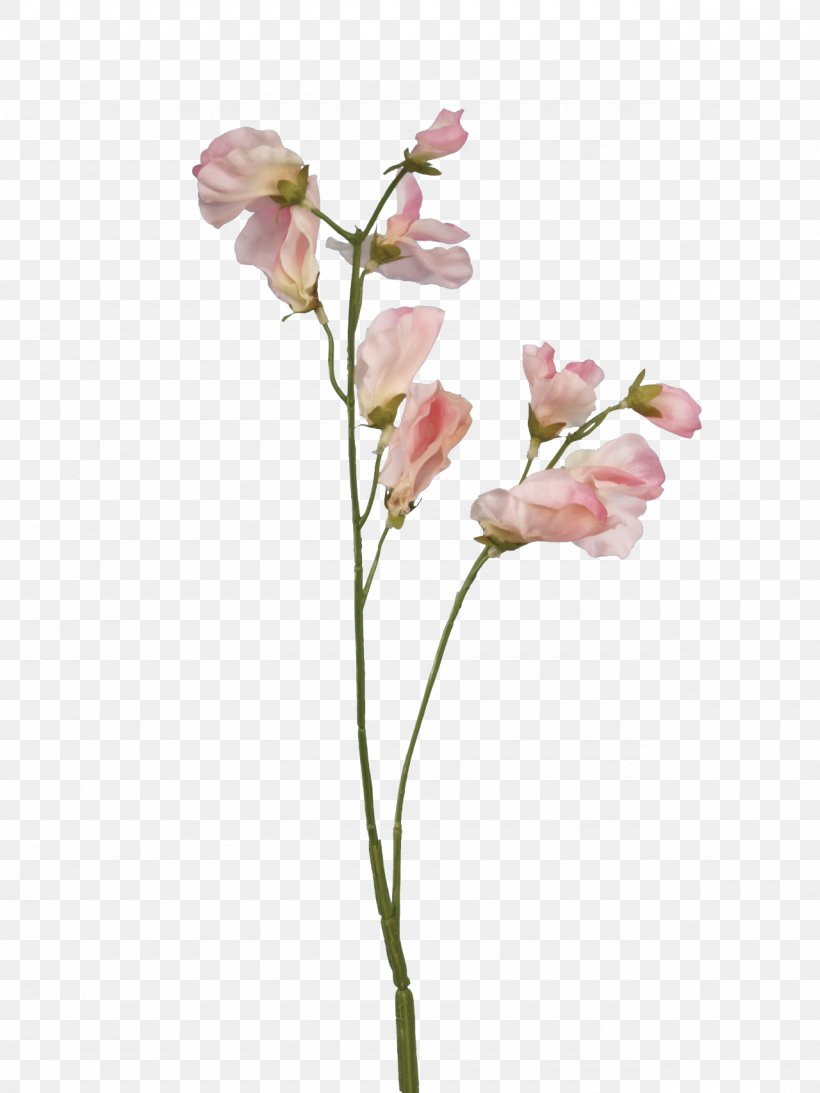 Sweet Pea Flower Plant Stem Rose, PNG, 1280x1707px, Sweet Pea, Artificial Flower, Blossom, Branch, Bud Download Free