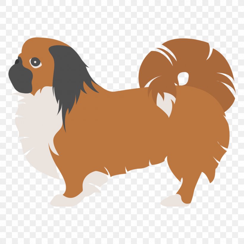 Dog Breed Pekingese Bichon Frise Puppy Shih Tzu, PNG, 1000x1000px, Dog Breed, Bichon Frise, Boston Terrier, Breed, Carnivoran Download Free