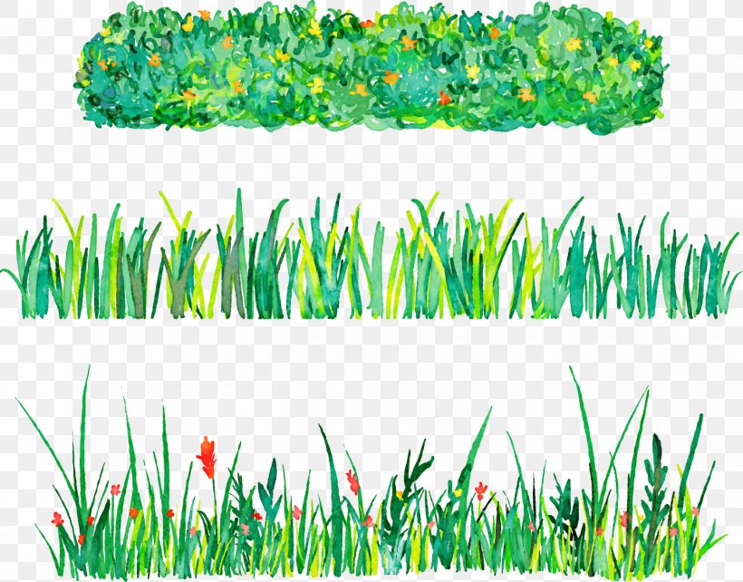 Euclidean Vector Illustration, PNG, 1428x1119px, Painting, Aquarium Decor, Commodity, Grass, Grass Family Download Free