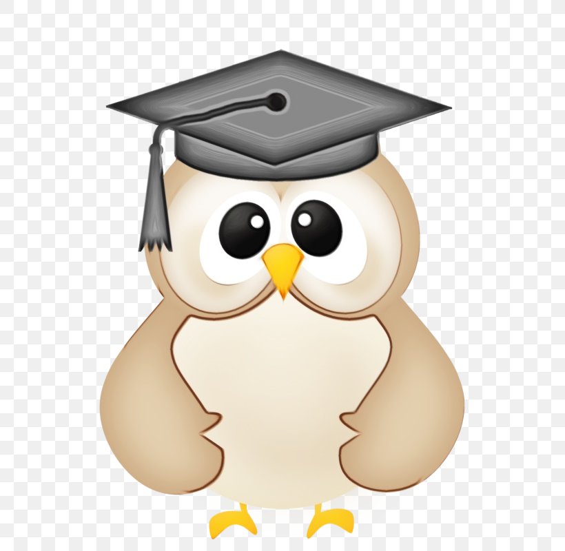 Graduation Cap, PNG, 571x800px, Graduation Ceremony, Academic Degree, Bird, Bird Of Prey, Cap Download Free