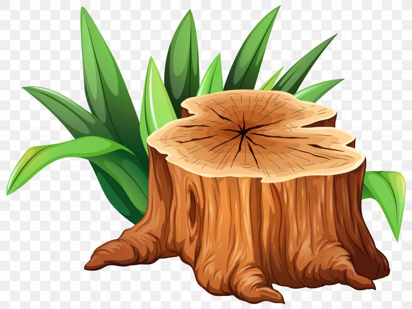 Tree Stump Trunk Clip Art, PNG, 4000x3009px, Tree Stump, Can Stock Photo, Flower, Flowerpot, Photography Download Free