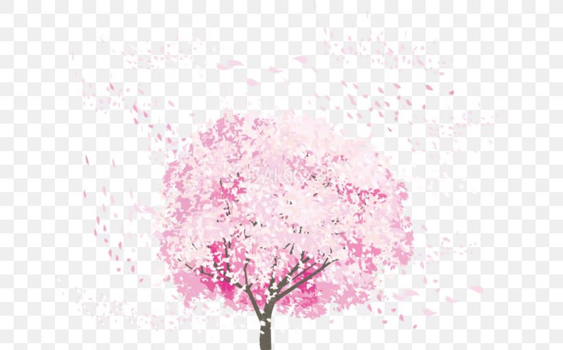 Cherry Blossom 花吹雪, PNG, 660x510px, Cherry Blossom, Blossom, Blue, Branch, Computer Download Free