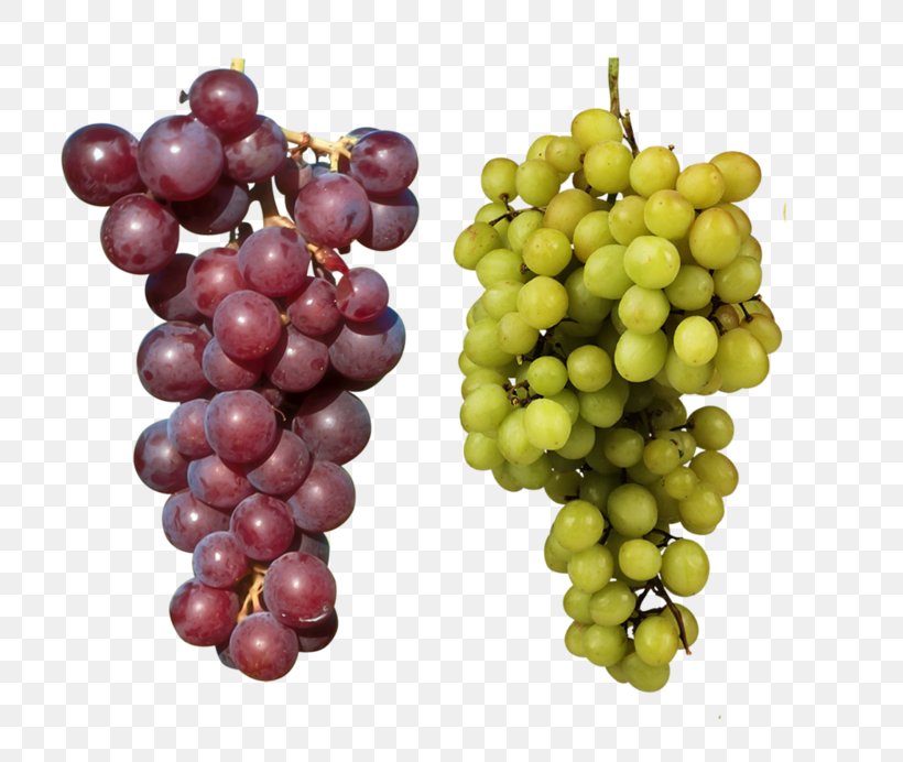 Fruit Download, PNG, 800x692px, 3d Computer Graphics, Fruit, Clipping Path, Display Resolution, Drawing Download Free