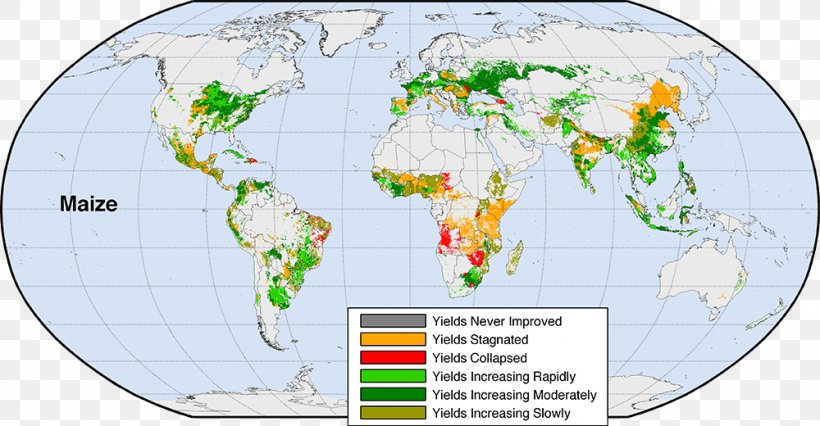 Green Revolution Map Maize Crop Yield, PNG, 1000x520px, Green Revolution, Agricultural Productivity, Agriculture, Area, Cereal Download Free