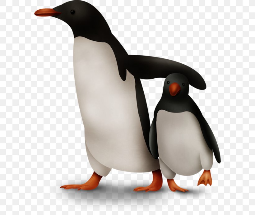 King Penguin Adobe Photoshop Alca, PNG, 600x692px, Penguin, Alca, Beak, Bird, Color Download Free