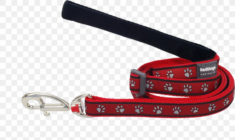 Leash Dog Dingo Cat Collar, PNG, 3000x1795px, Leash, Cat, Cat Food, Collar, Dingo Download Free