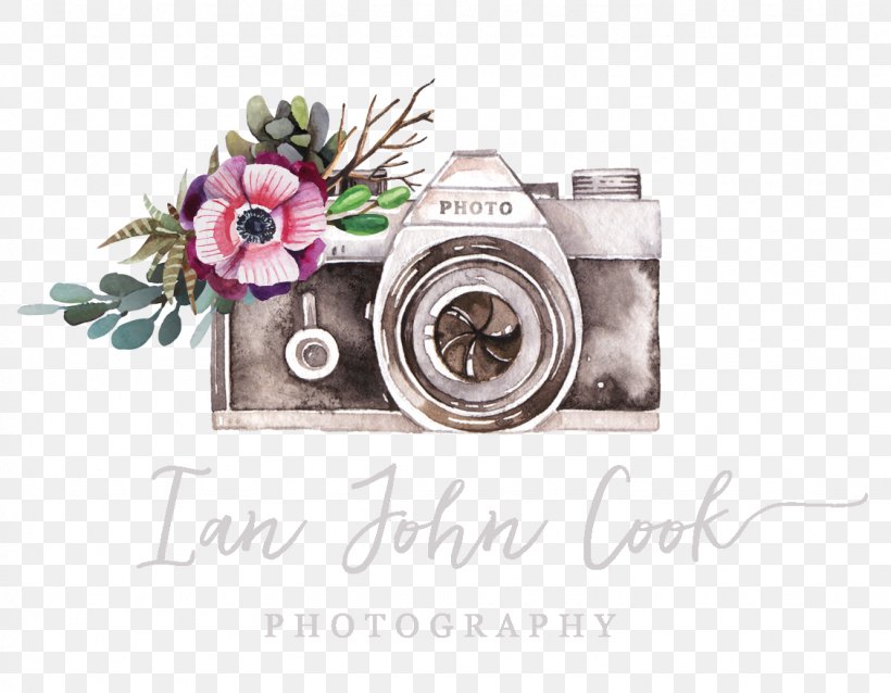 The Portrait Lady Photography Logo Photographer Photographic Studio, PNG, 1128x878px, Photography, Art, Camera, Floral Design, Flower Download Free