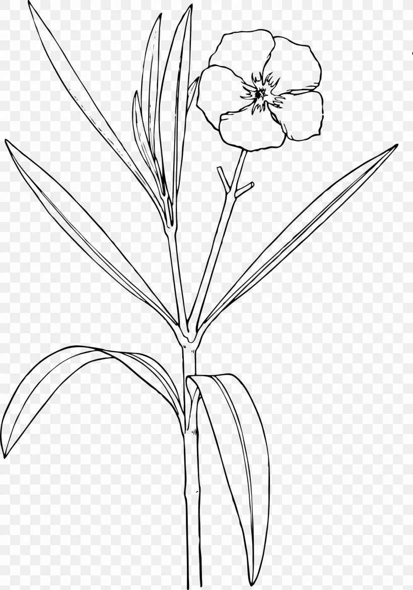 Oleander Nature Drawing And Design; Flower, PNG, 1346x1920px, Oleander, Area, Black And White, Blossom, Branch Download Free