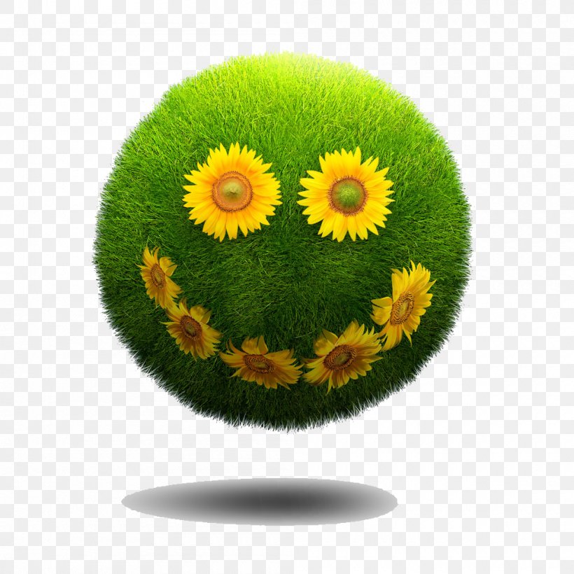 Smile Laughter Euclidean Vector, PNG, 1000x1000px, Smile, Animation, Daisy Family, Flower, Flowerpot Download Free