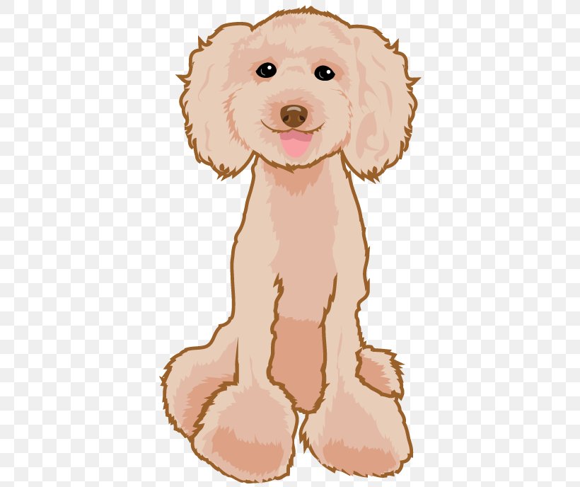 Dog Breed Puppy Poodle Companion Dog, PNG, 387x688px, Dog Breed, Apricot, Art, Blog, Breed Download Free