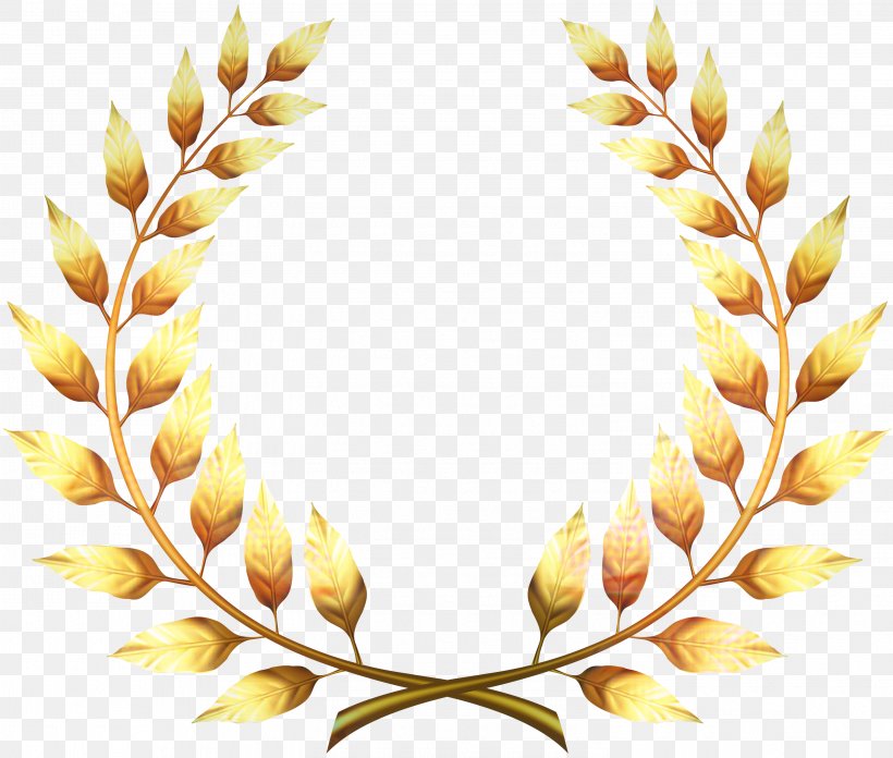 Laurel Wreath Clip Art Bay Laurel Vector Graphics, PNG, 2998x2546px, Laurel Wreath, Bay Laurel, Drawing, Fashion Accessory, Gold Download Free