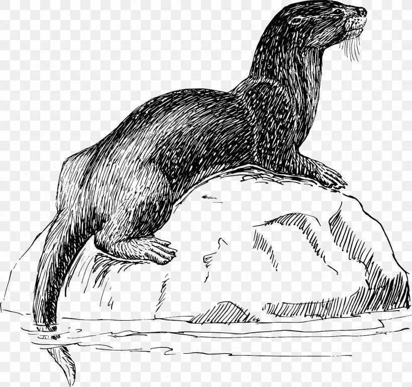 Sea Otter Mug Coffee Cup North American River Otter, PNG, 1280x1203px, Otter, Beak, Beaver, Black And White, Carnivoran Download Free