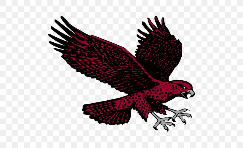 University Of Maryland Eastern Shore Maryland Eastern Shore Hawks Men's Basketball Mascot Eagle, PNG, 500x500px, Mascot, Beak, Bird, Bird Of Prey, College Download Free