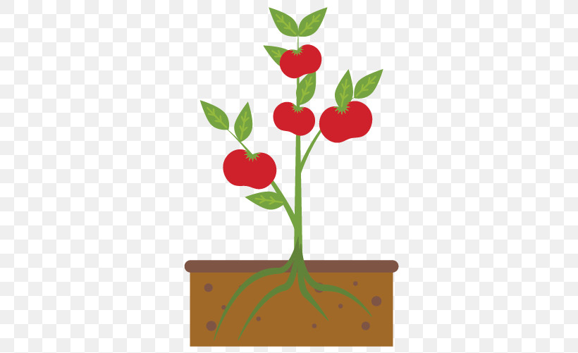 Flower Plant Flowerpot Leaf Plant Stem, PNG, 500x501px, Flower, Anthurium, Flowerpot, Houseplant, Leaf Download Free