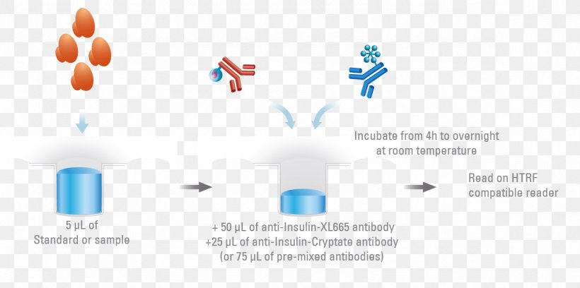 Insulin Resistance ELISA Assay Glucagon, PNG, 1178x587px, Insulin, Assay, Basal, Bradford Protein Assay, Brand Download Free