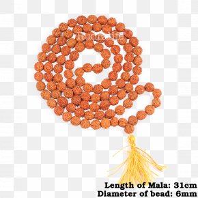 Rudraksha - Buddhist Prayer Beads Rudraksha Rudralife PNG
