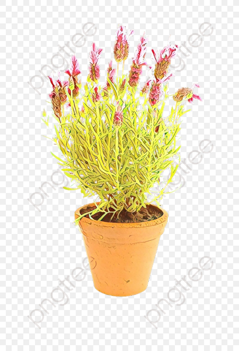 Flower Flowerpot Plant Grass Houseplant, PNG, 800x1200px, Flower, Flowerpot, Grass, Houseplant, Perennial Plant Download Free
