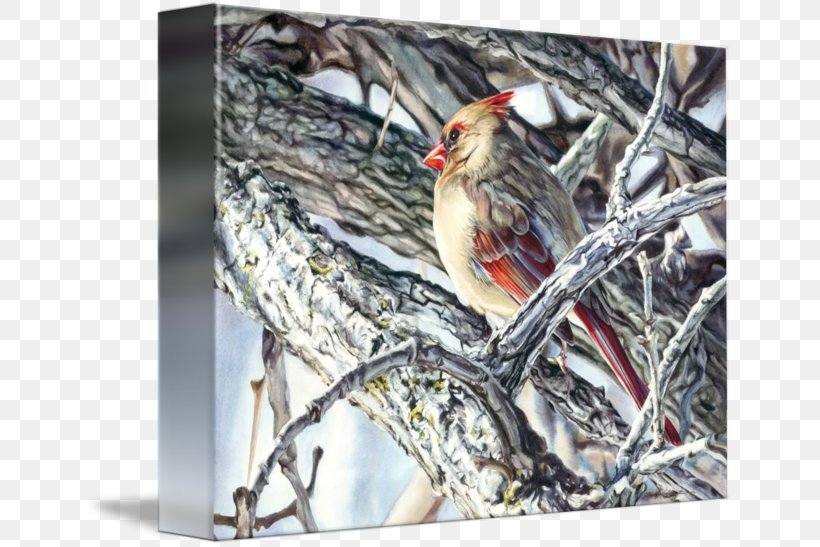 Gallery Wrap Canvas Finches Tougher Than The Rest Art, PNG, 650x547px, Gallery Wrap, Art, Beak, Bird, Bird Food Download Free