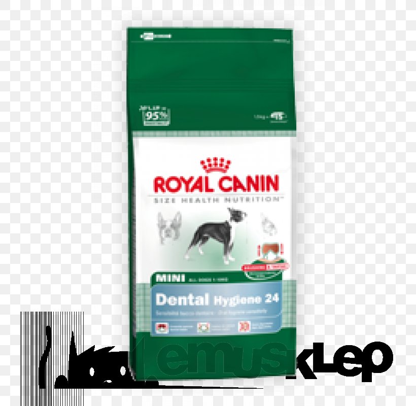 Golden Retriever Cat Food Royal Canin Dog Food Pet, PNG, 800x800px, Golden Retriever, Canidae, Carnivore, Cat Food, Dog Download Free
