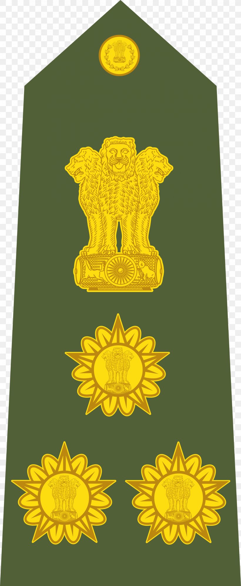 Indian Army Colonel Lieutenant Military Rank Army Officer, PNG, 1200x2912px, Indian Army, Army, Army Officer, Army Ranks And Insignia Of India, Colonel Download Free