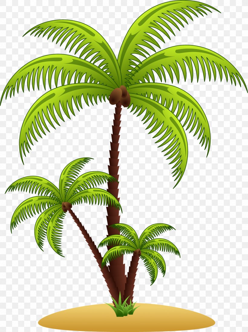 Arecaceae Euclidean Vector Clip Art, PNG, 1306x1748px, Arecaceae, Arecales, Coconut, Curve, Date Palm Download Free