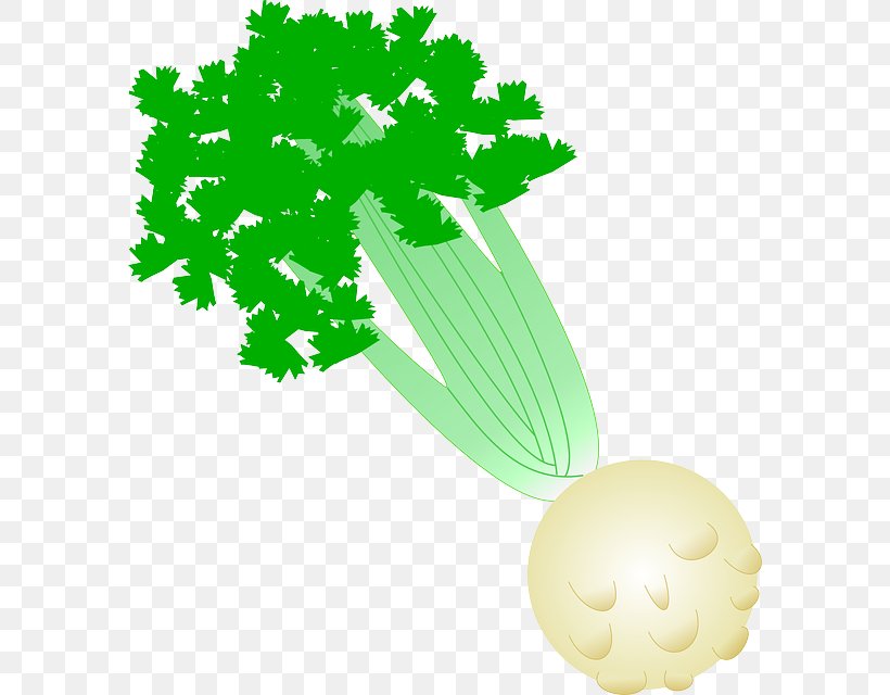 Celery Celeriac Clip Art, PNG, 584x640px, Celery, Celeriac, Flower, Flowering Plant, Food Download Free