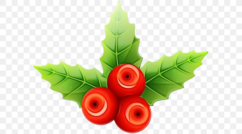 Christmas Poinsettia, PNG, 600x456px, Common Holly, Cherries, Christmas Day, Christmas Mistletoe, Flower Download Free