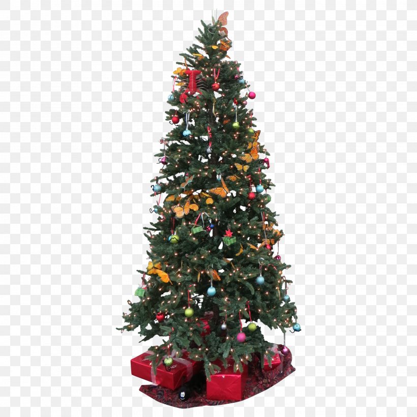 Norway Spruce Christmas Tree Christmas Lights, PNG, 2700x2700px, Norway Spruce, Christmas, Christmas Decoration, Christmas Lights, Christmas Ornament Download Free